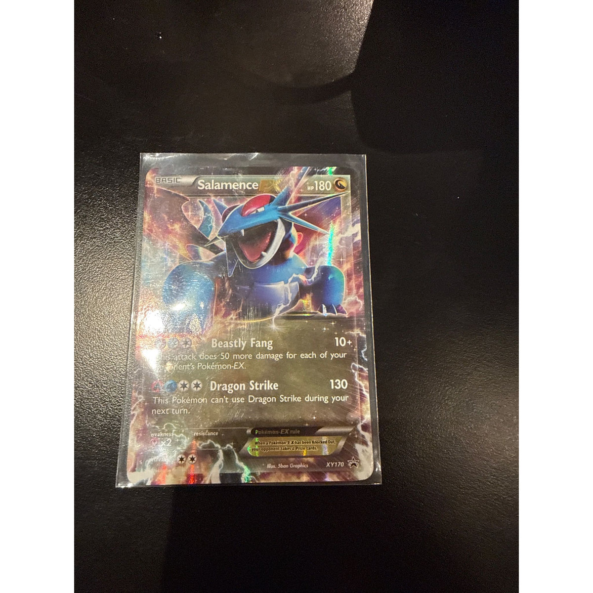 Salamence EX #XY170