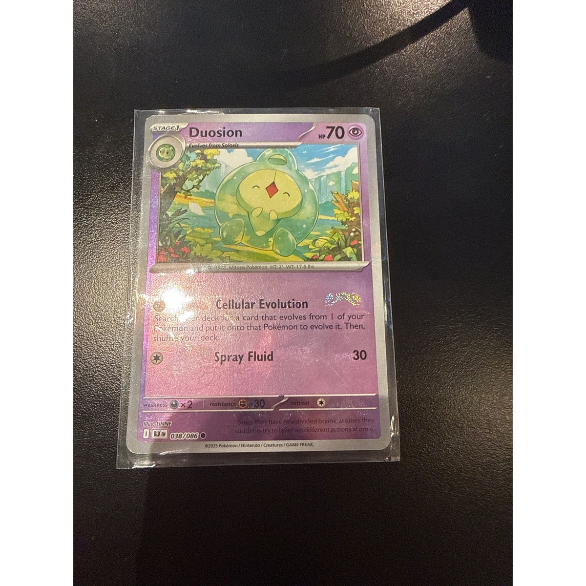 2025 Black Bolt Duosion Master Ball #038/086