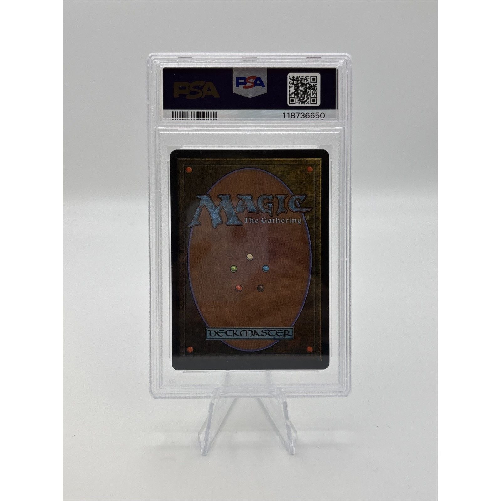 Magic: The Gathering MTG Camel PSA 6, Arabian Nights WOTC 1993