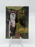 Panini Illusions 2021-22 Dwyane Wade Miami Heat Trophy Gold #124 /25