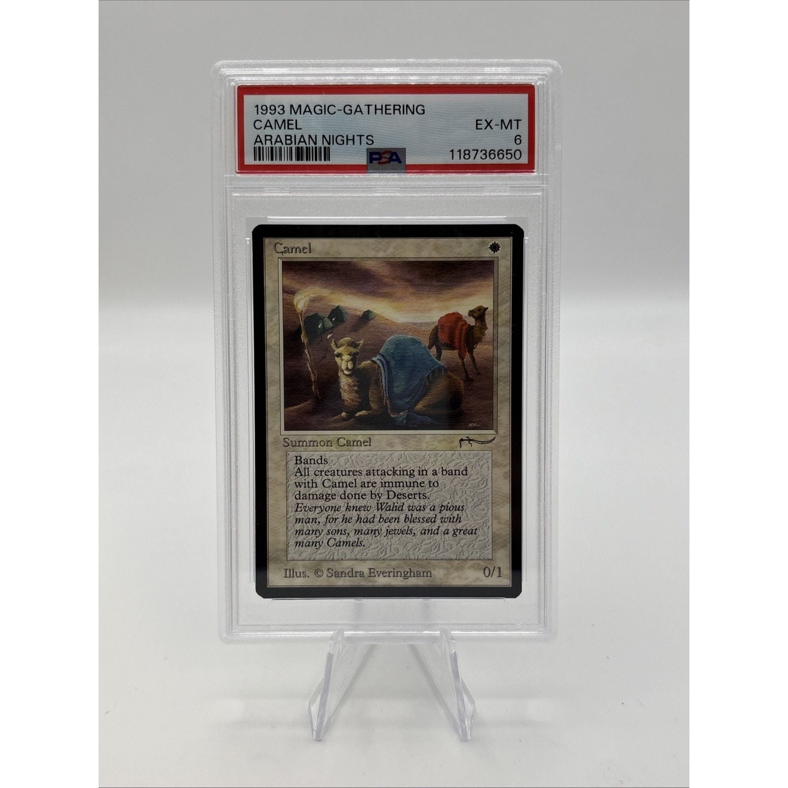 Magic: The Gathering MTG Camel PSA 6, Arabian Nights WOTC 1993