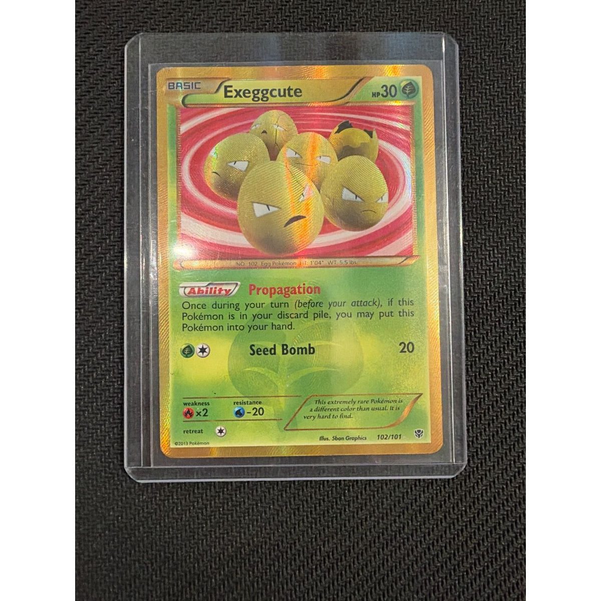 2013 Exeggcute #102/101