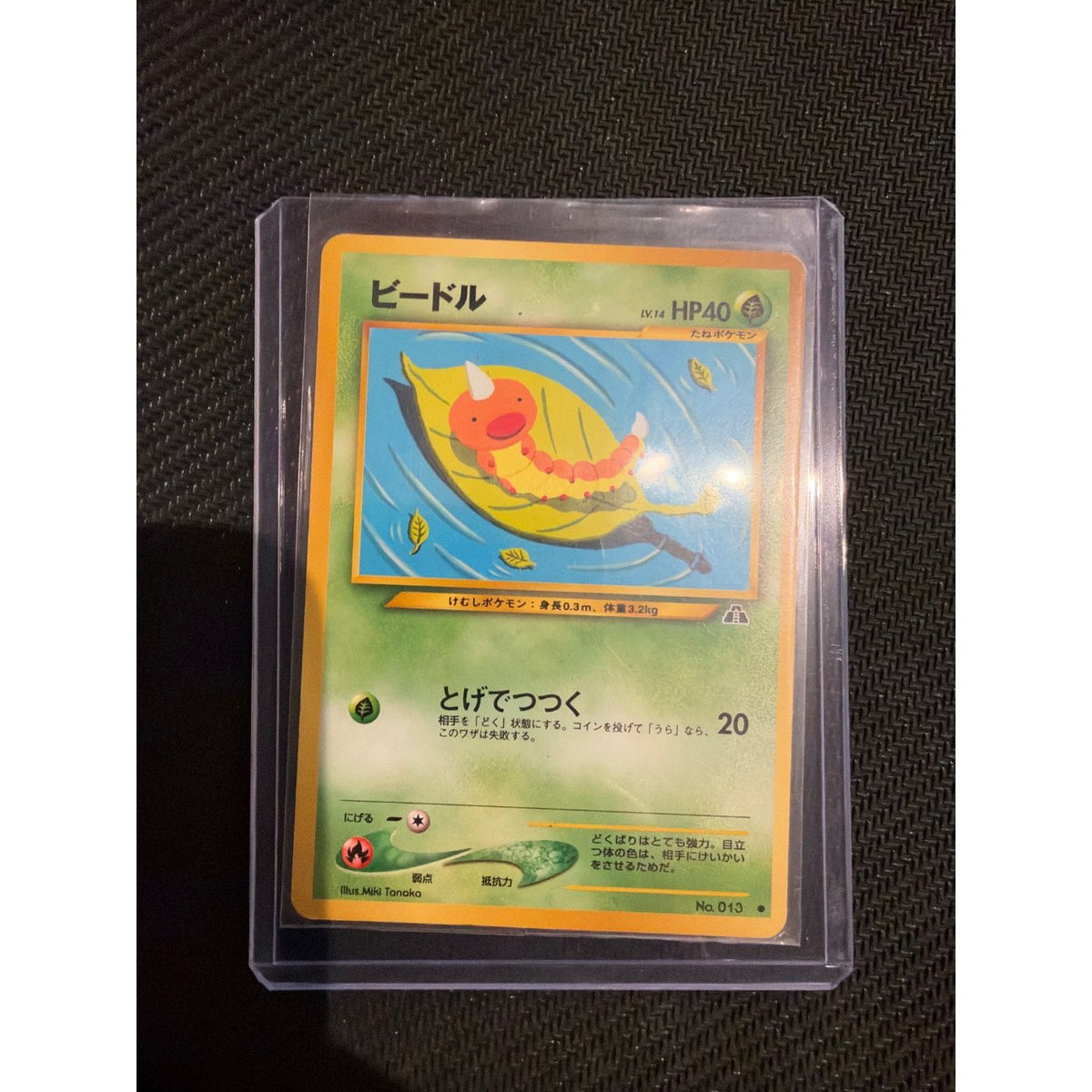 Weedle #No. 013
